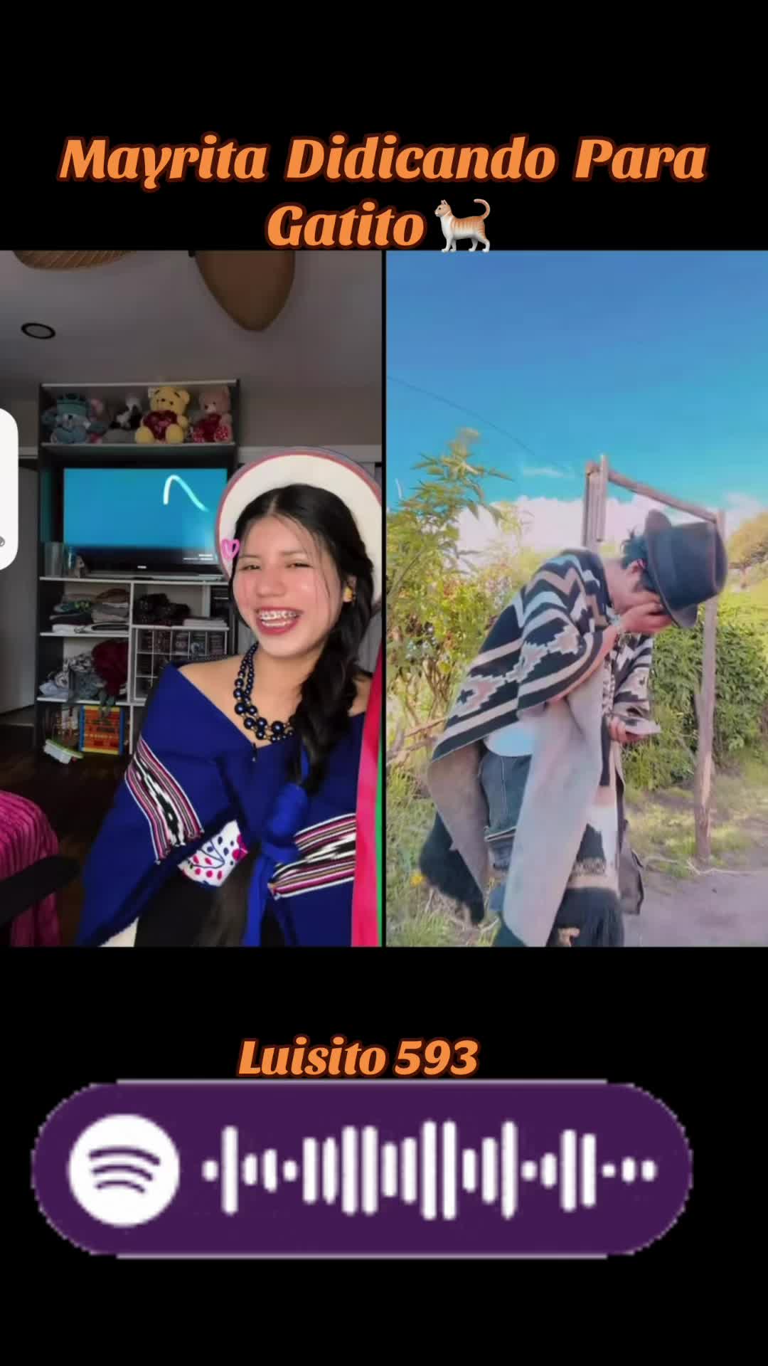 @Luisito 593✍️