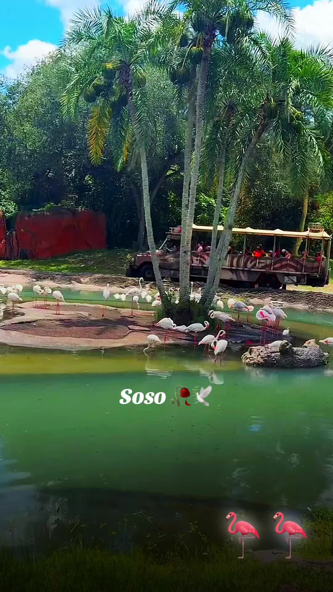 @༊෴✿ سوسو ✿〄࿐