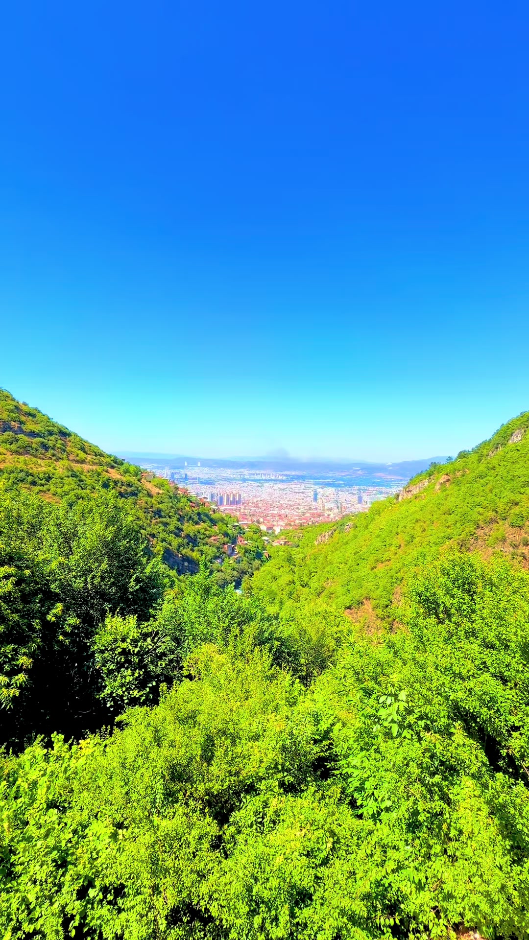 @hayat kısa