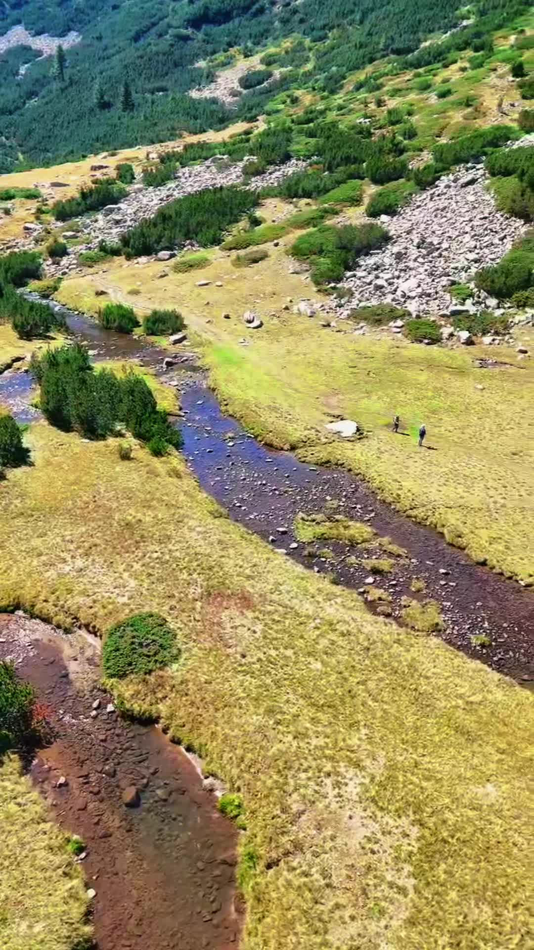 @Пути жизни