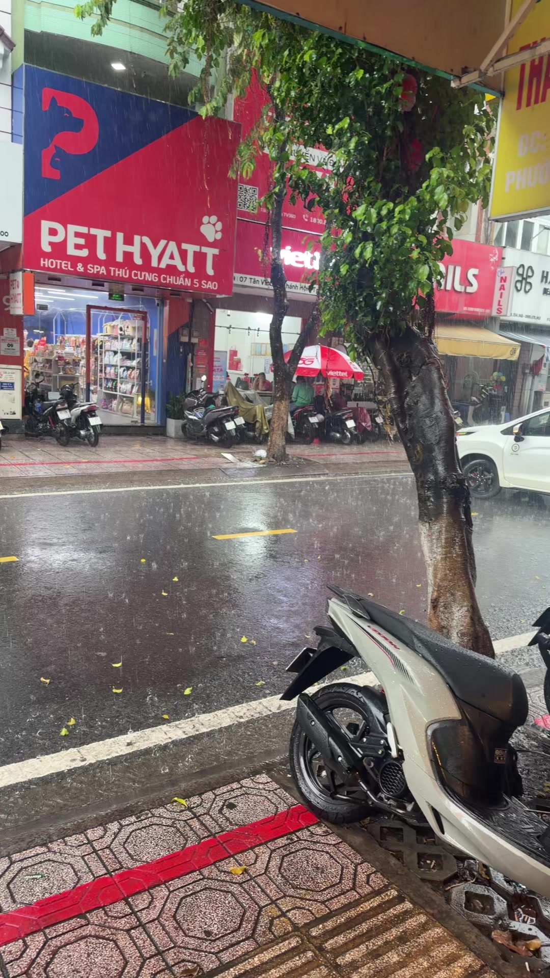 @HỚT TÓC NAM THẢO NGUYÊN Q4