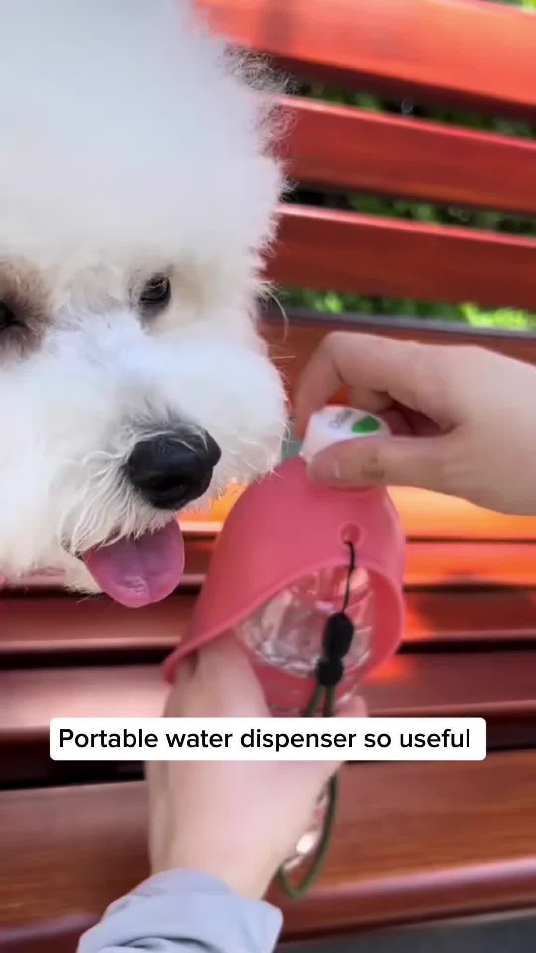 @Pet products