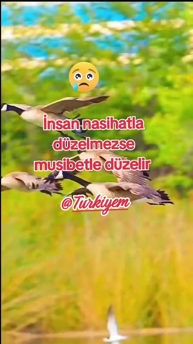 @T&uuml;rkiyem