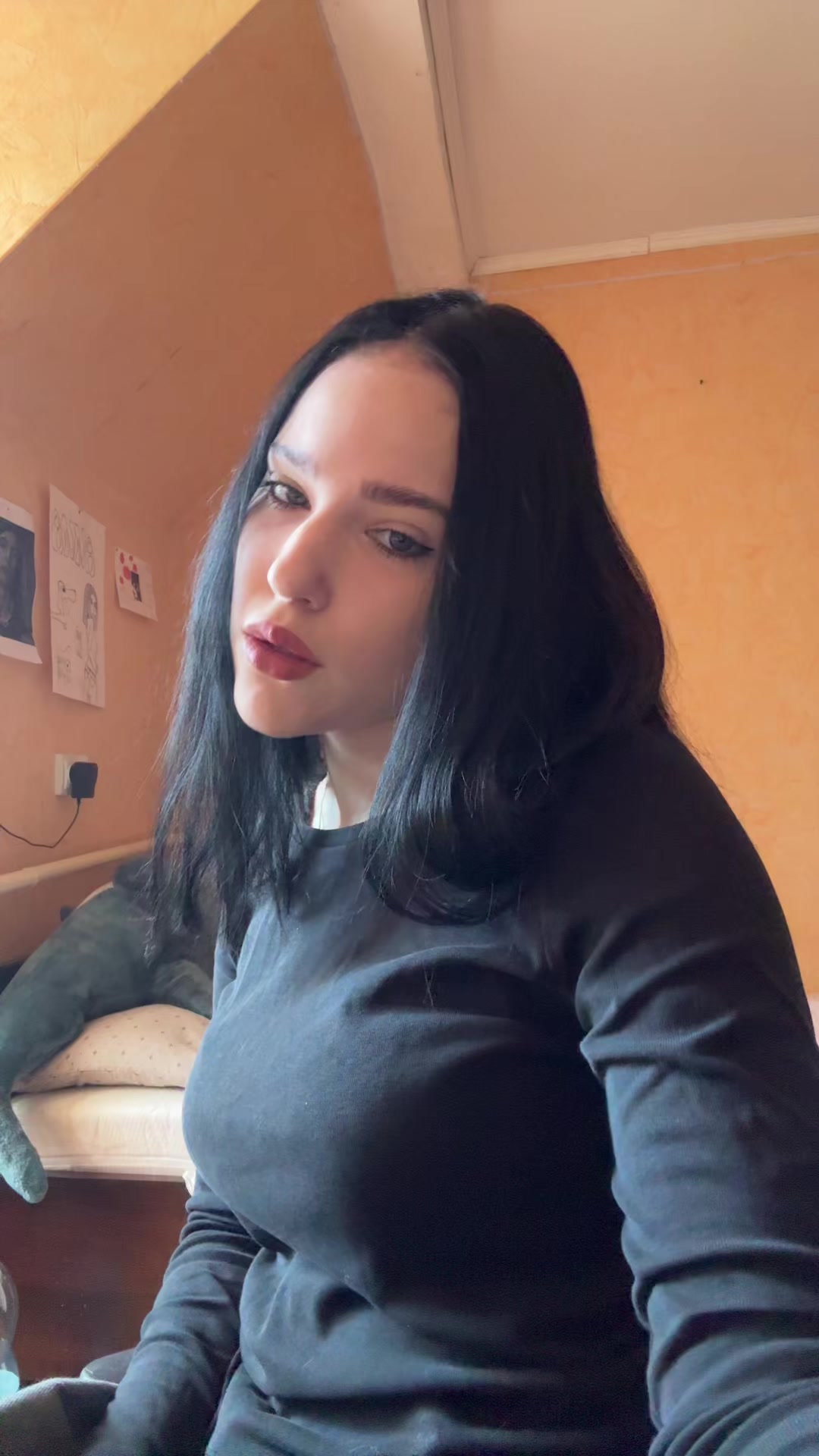 @vanilkan