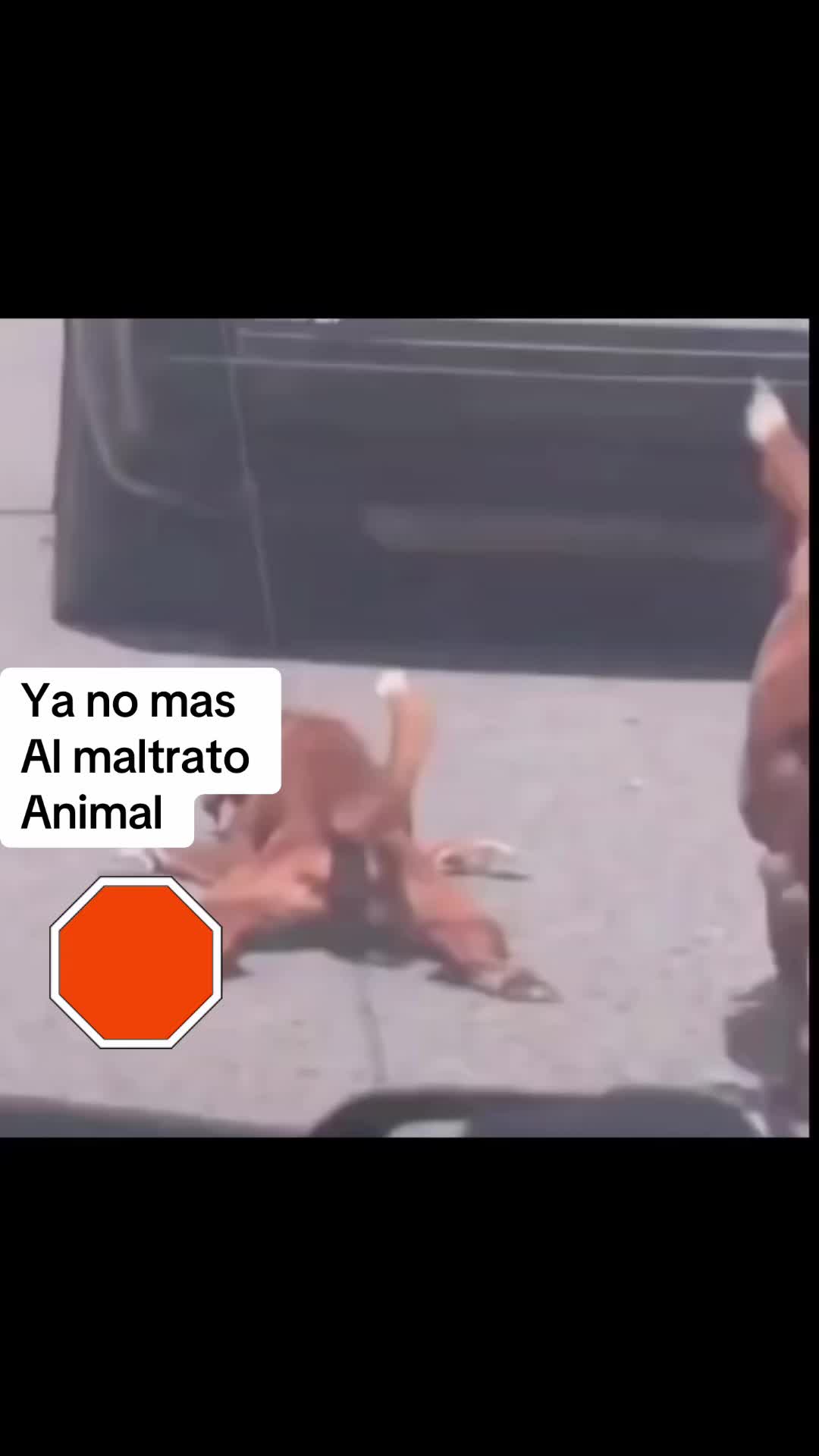 @Anil Gomez