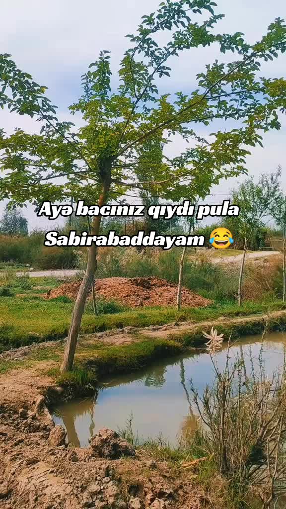 @Aaaaaa