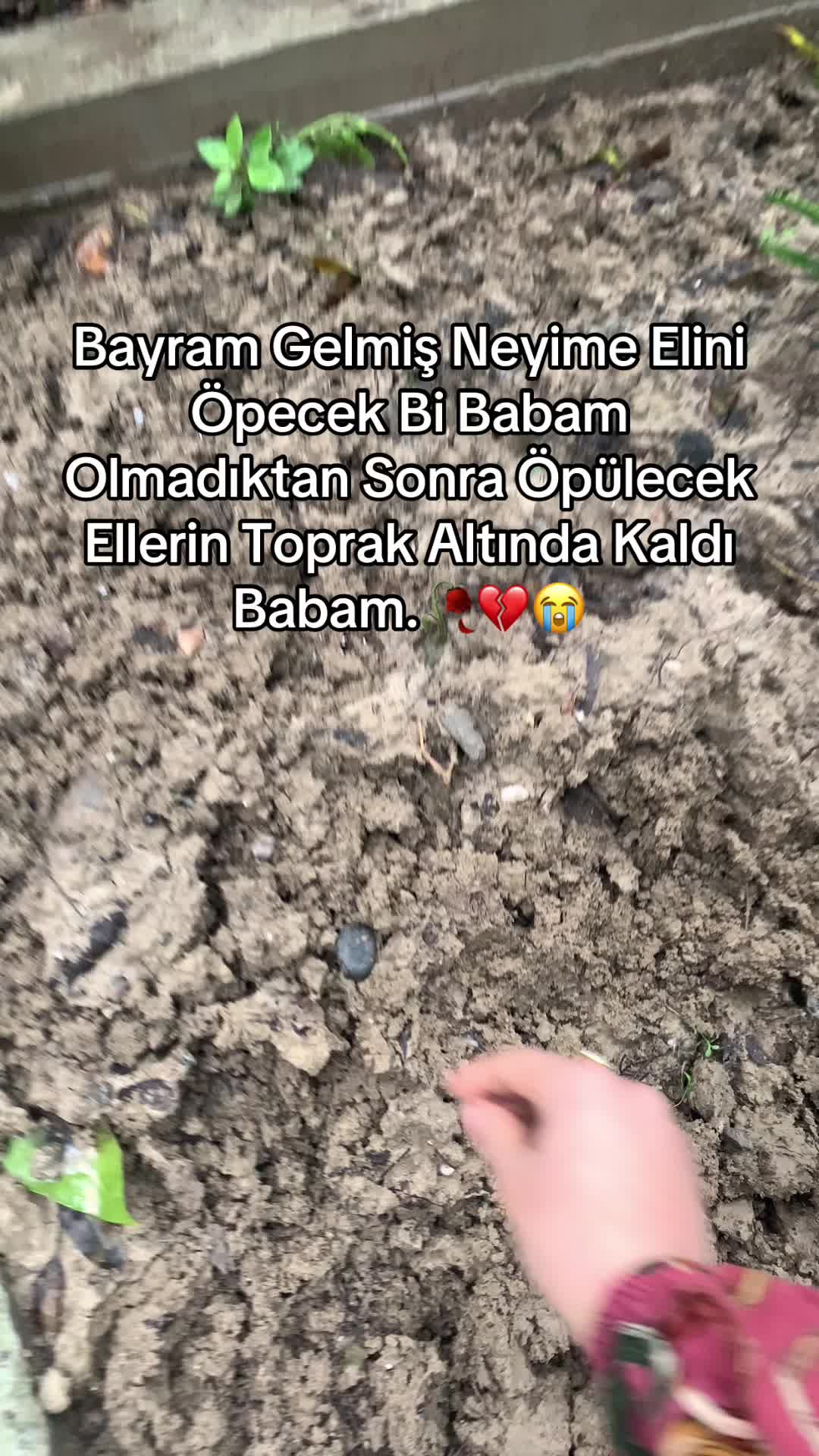 @🖤