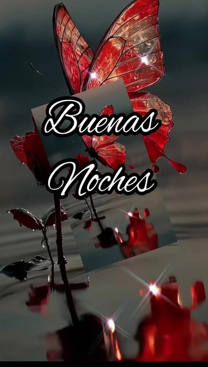 @Palomalucia_24 Cuenta Oficial