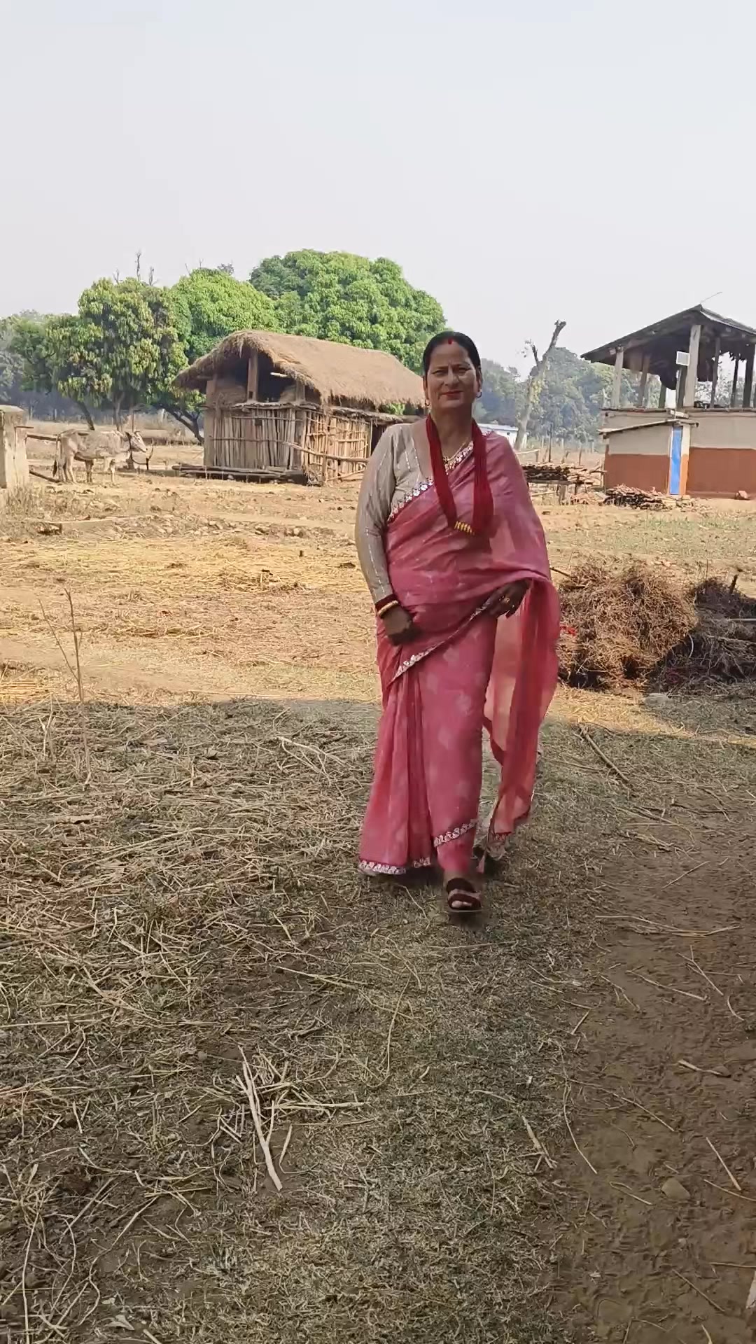 @Gaura Dhamala