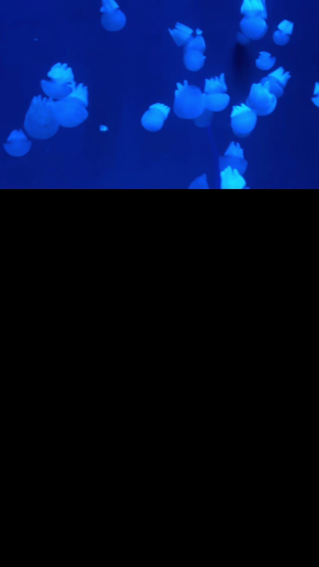 @greenteaaaaa27
