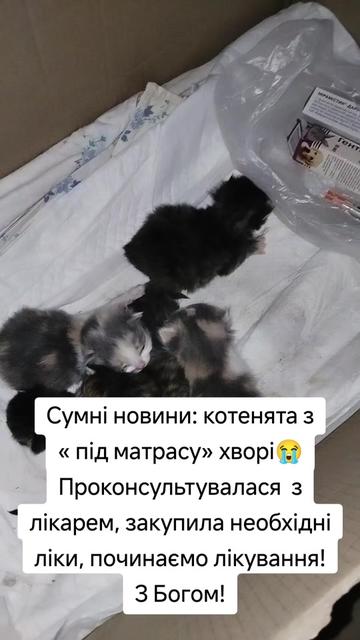@viktoria)