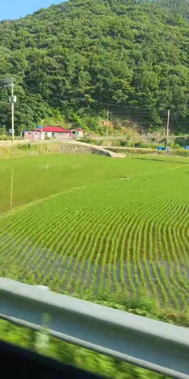 @커피향