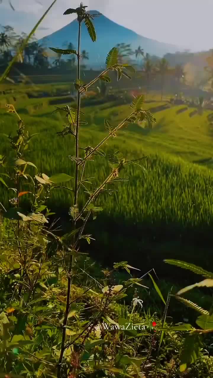 @WawaZieta