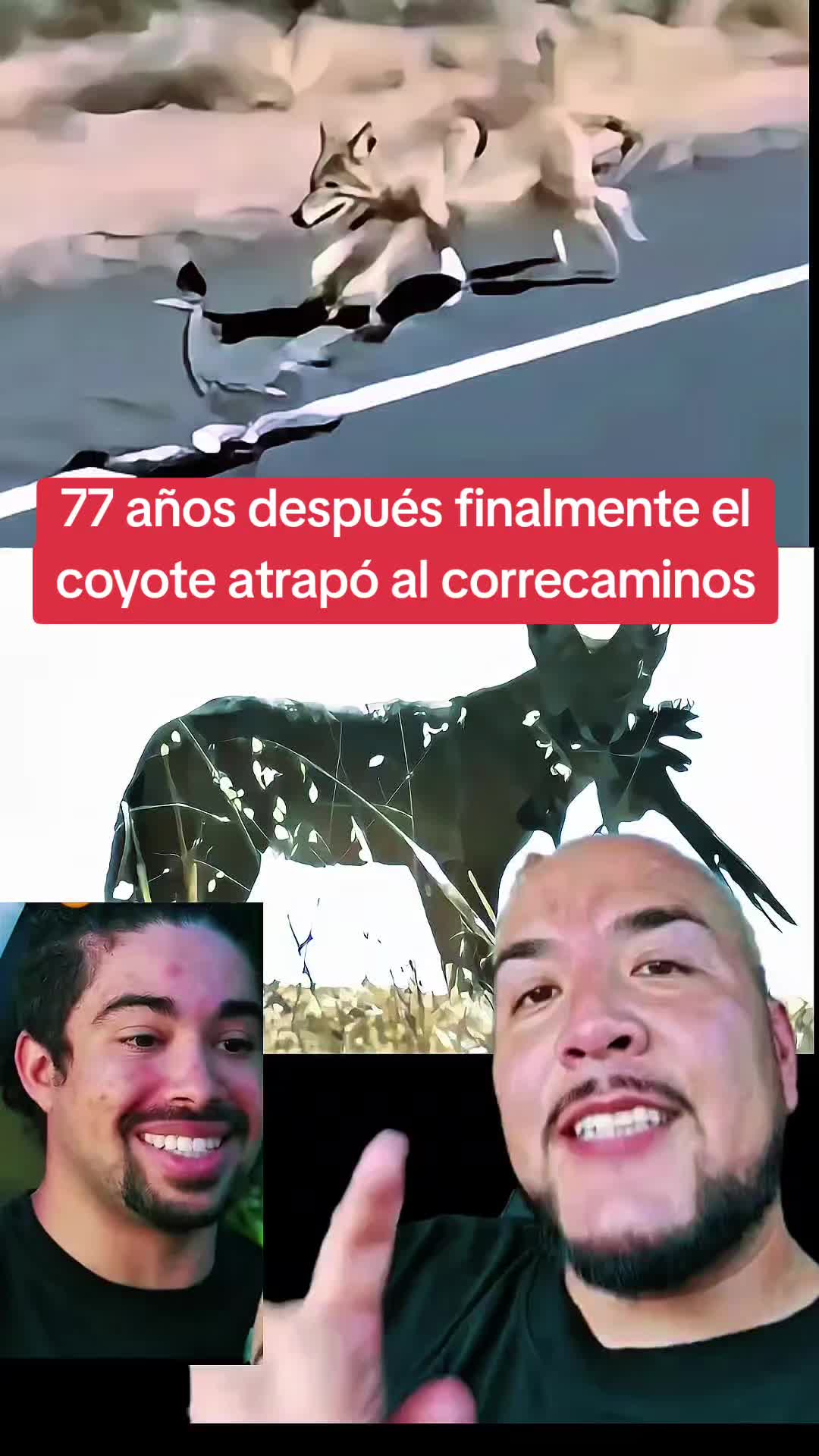 @🇬🇹 NOTICIAS 502 🇬🇹