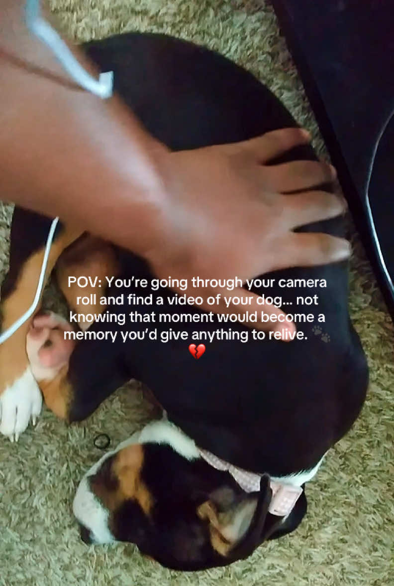 @DayQuanPOVs