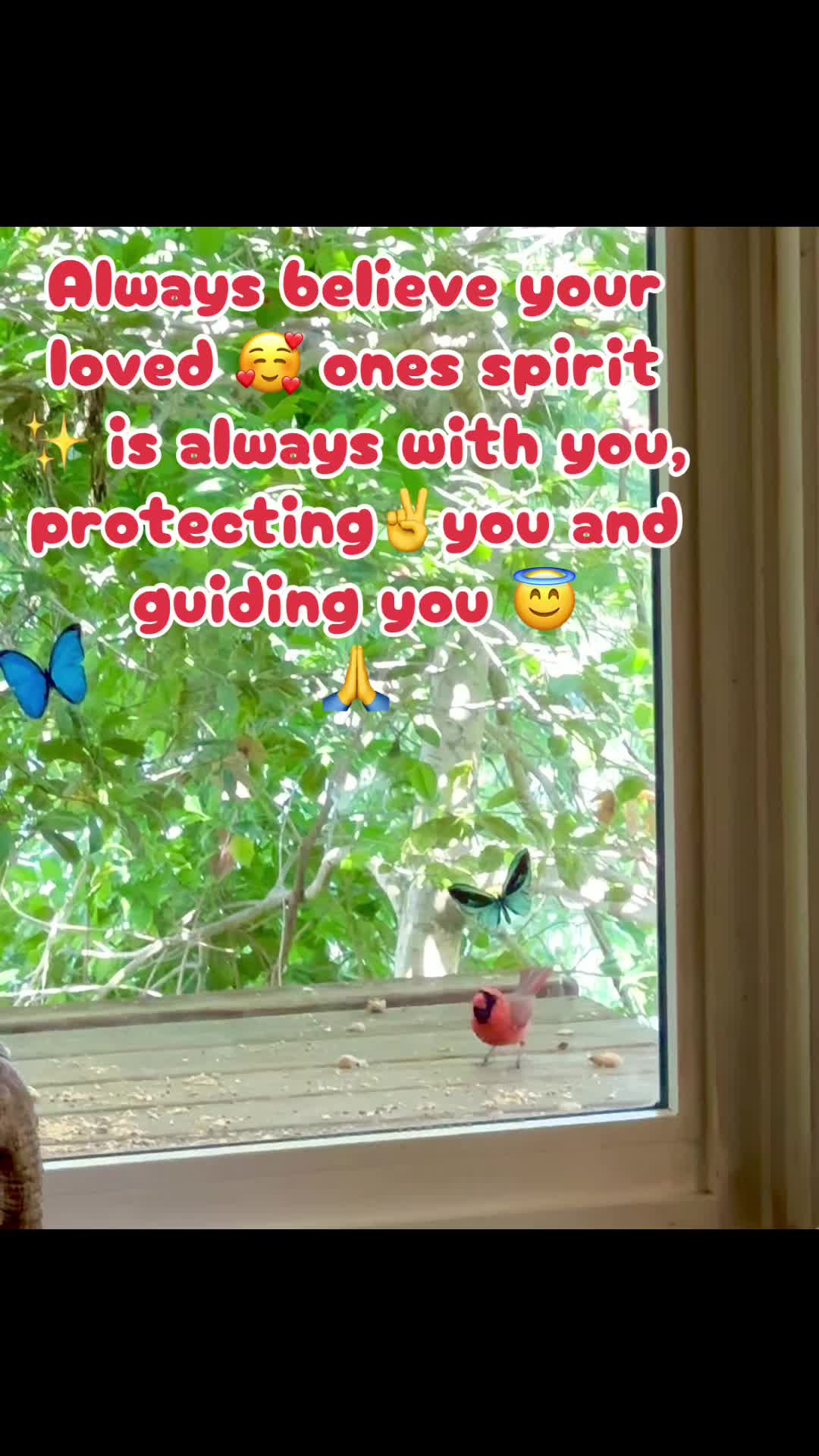 @E🌹