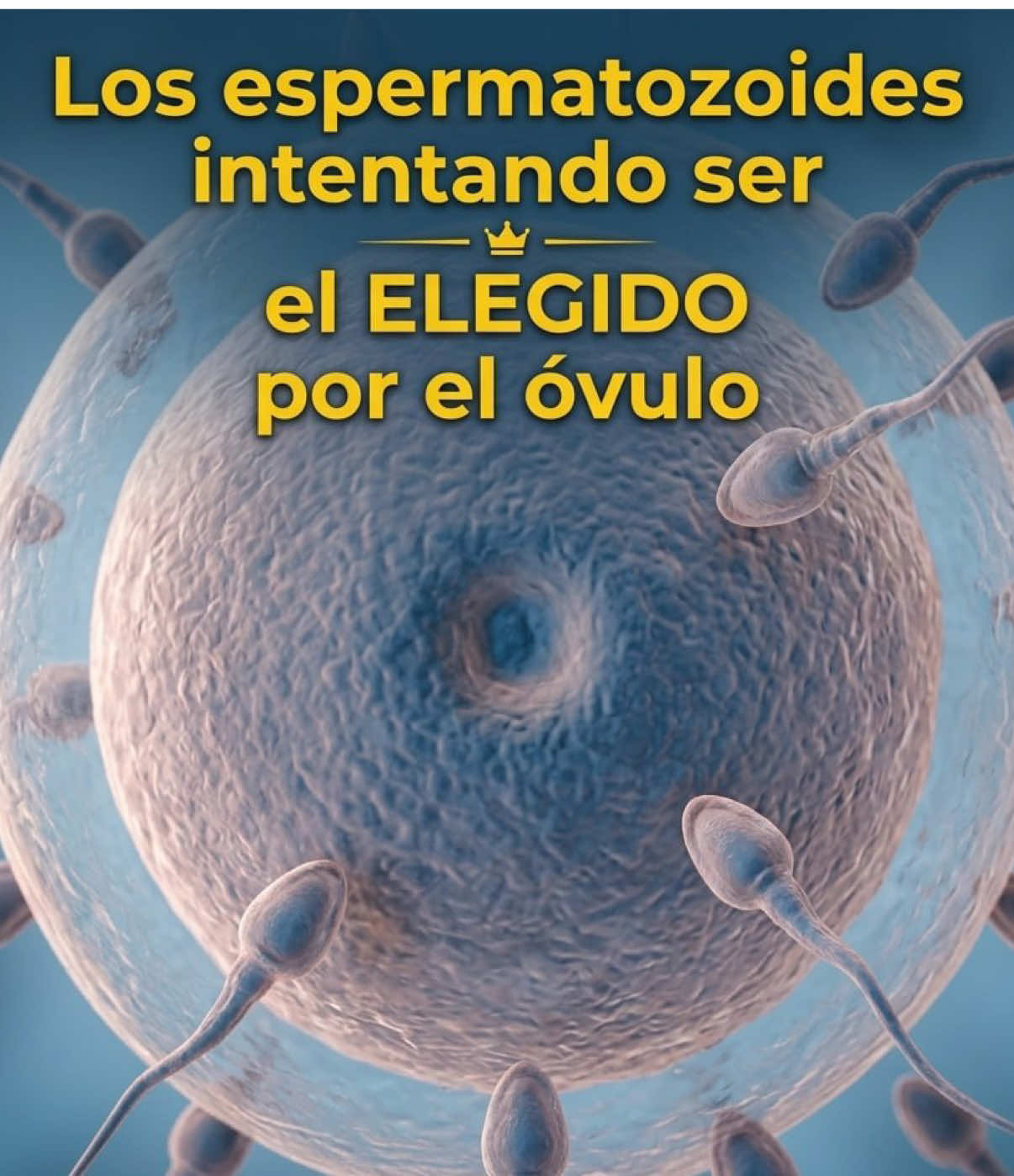 @Utopía Oculta