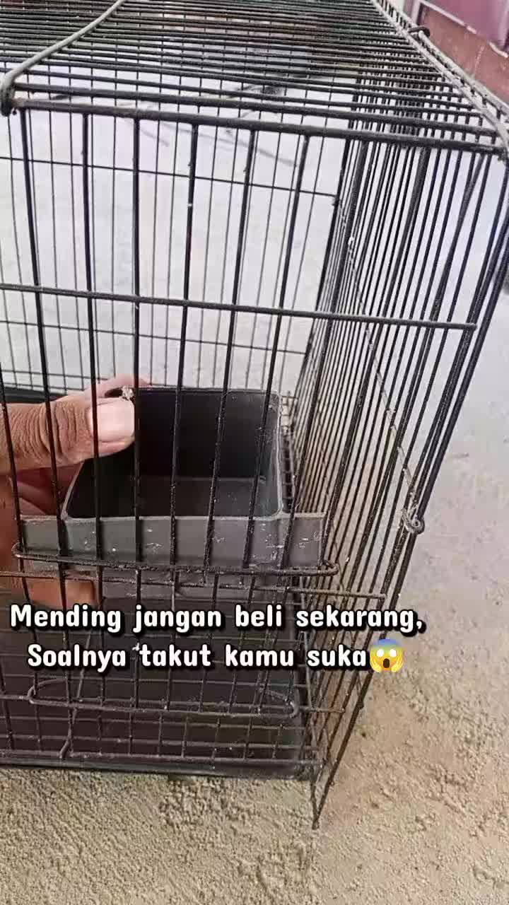 @Ni'matus Solic
