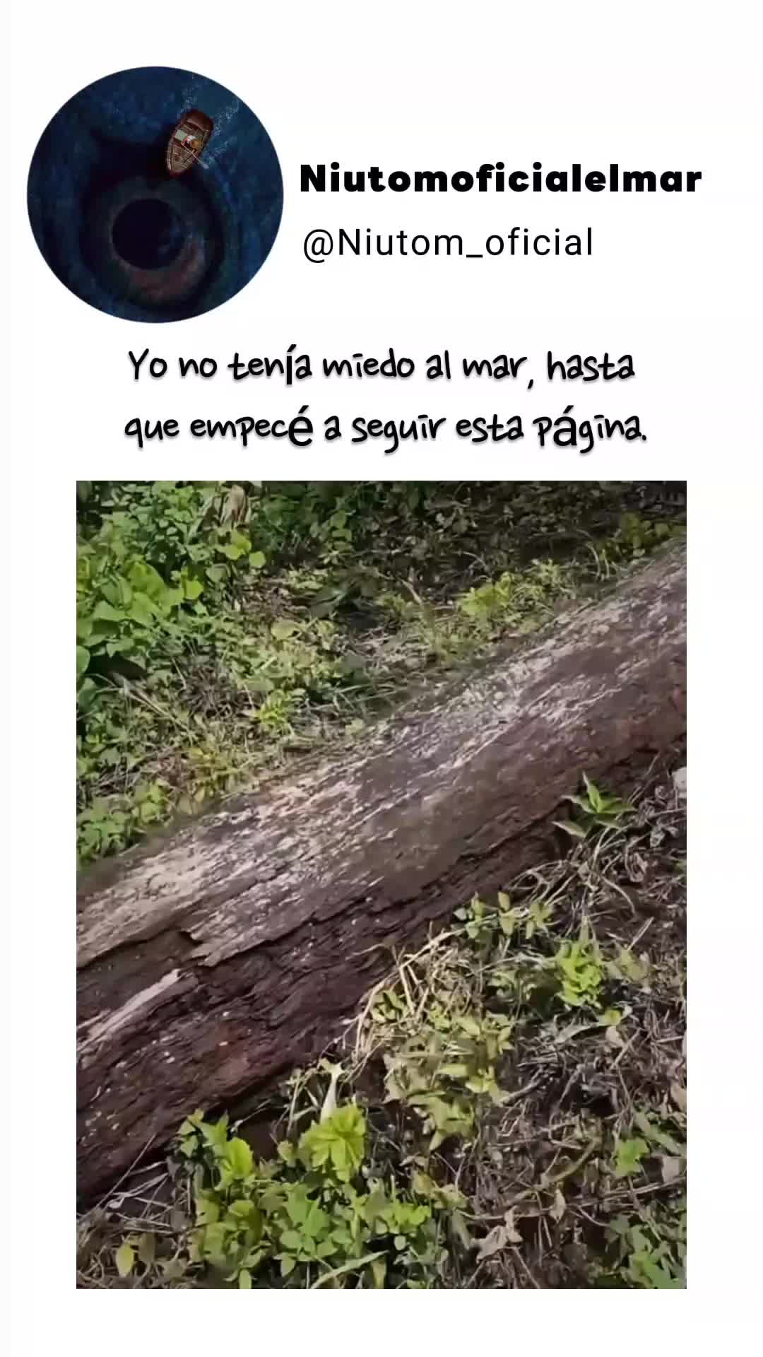 @🌊️niutom oficial el mar 🌊