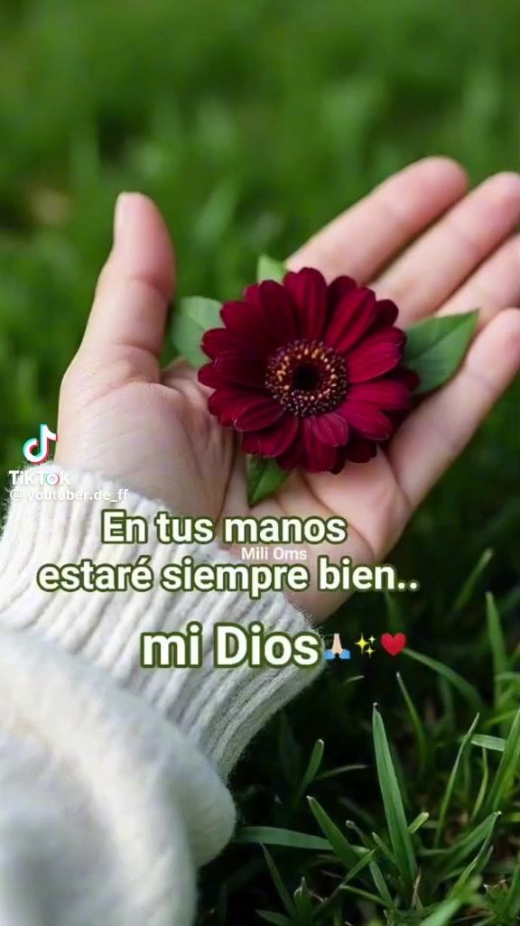 @JulianaCcC7