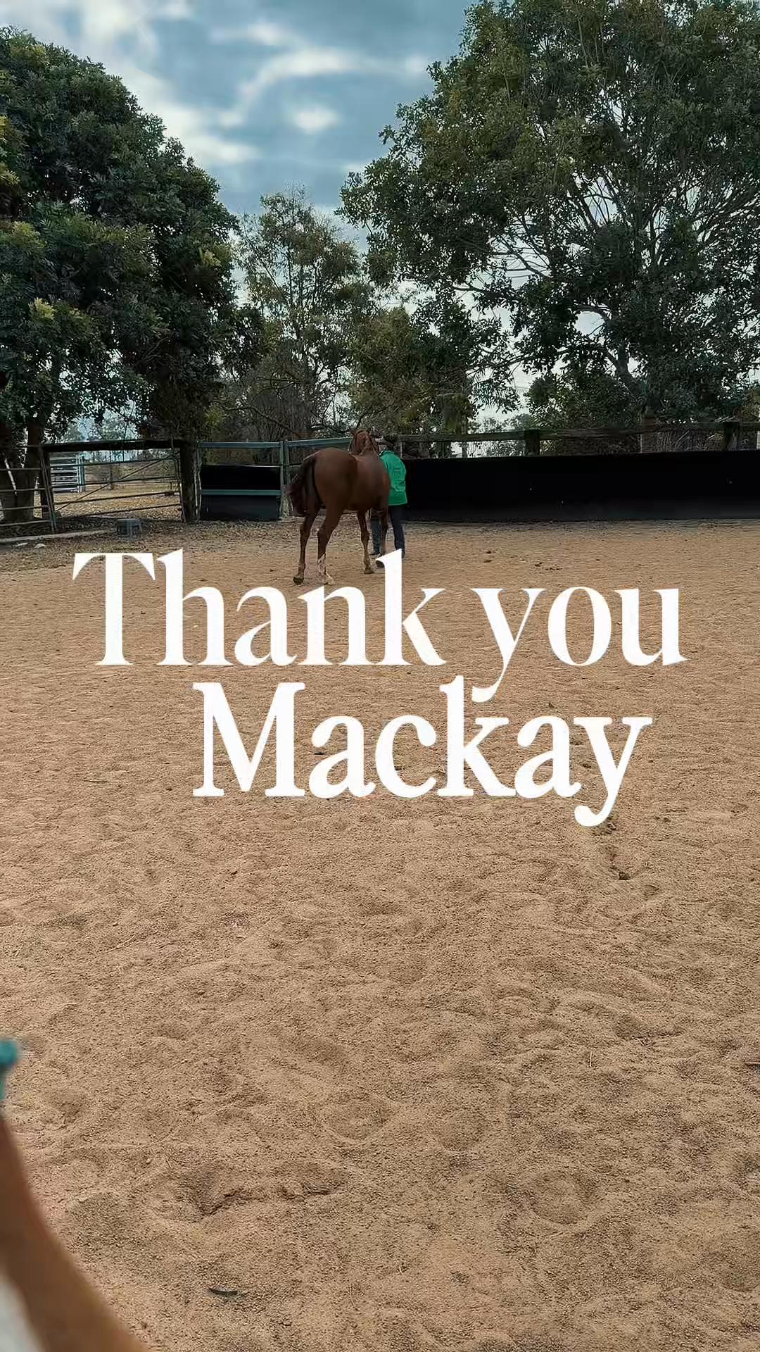 @KimDaleyhorsemanship