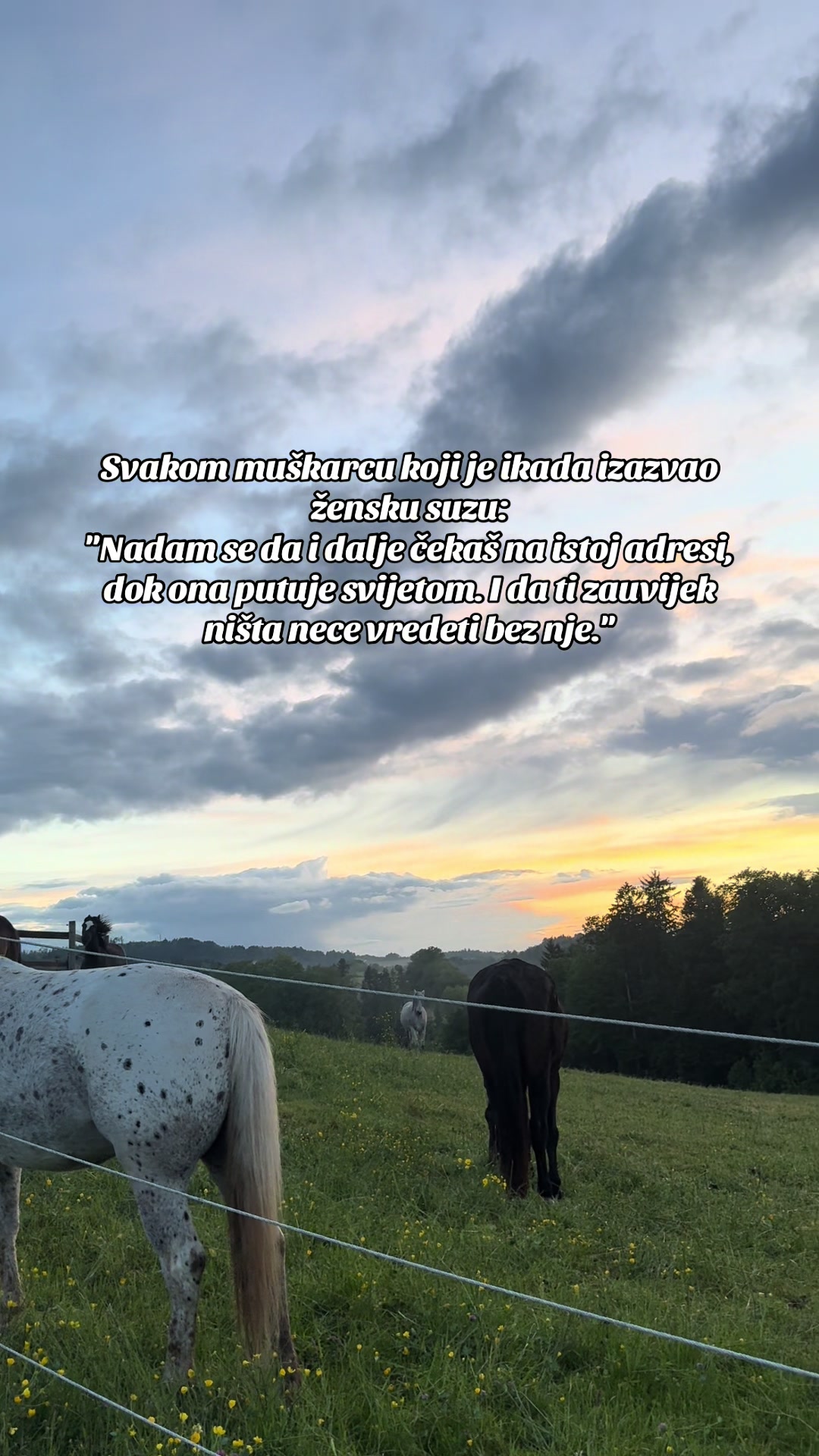 @Bosanka
