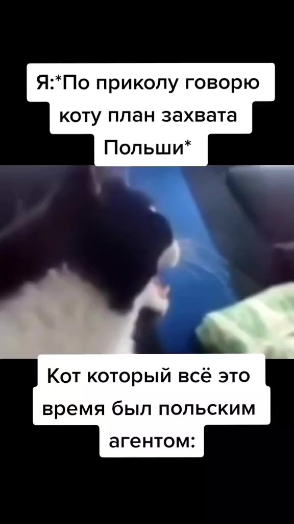 @titopik