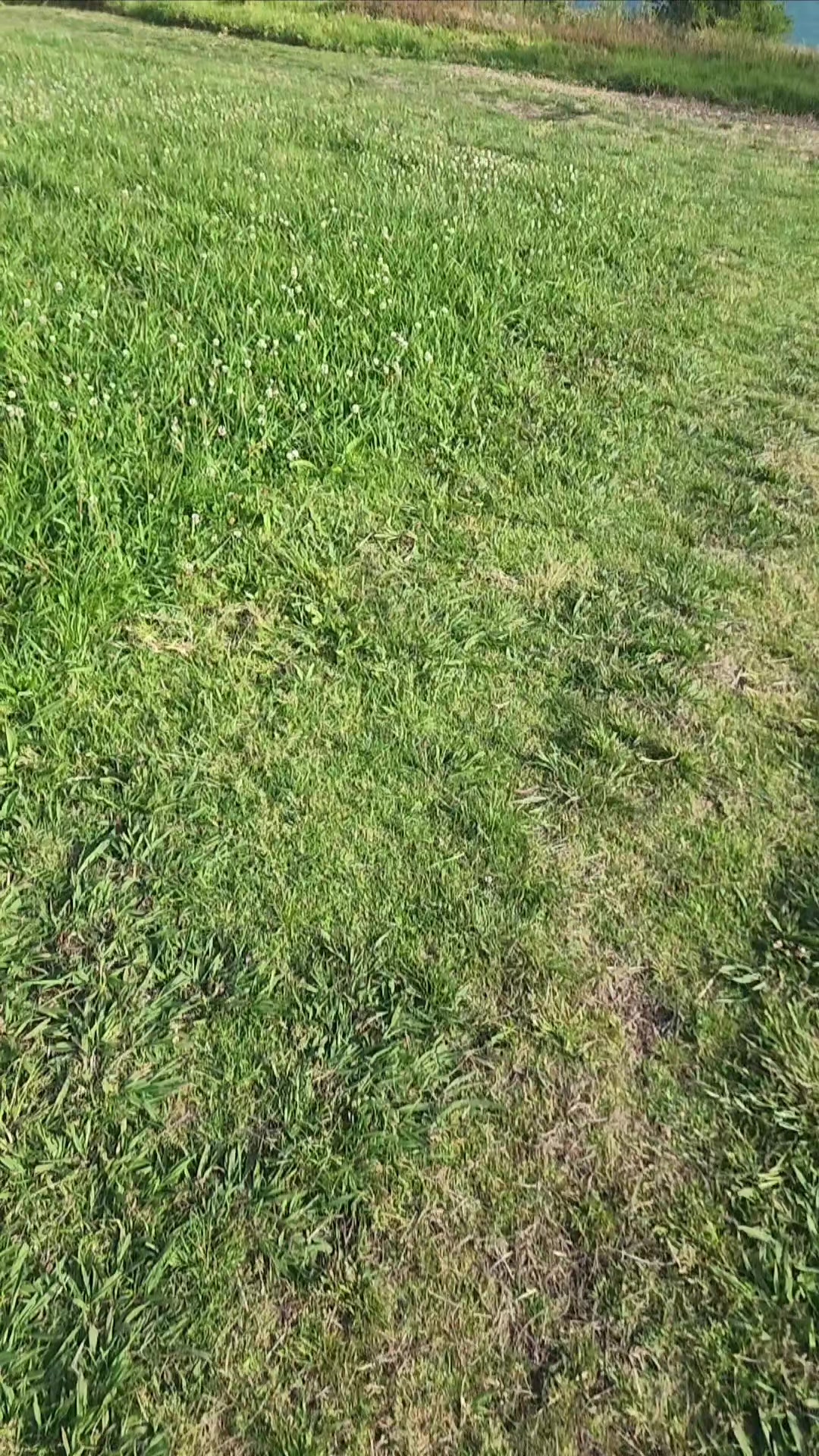 @mk