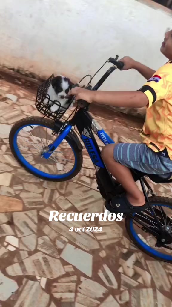@Beatriz Samudio
