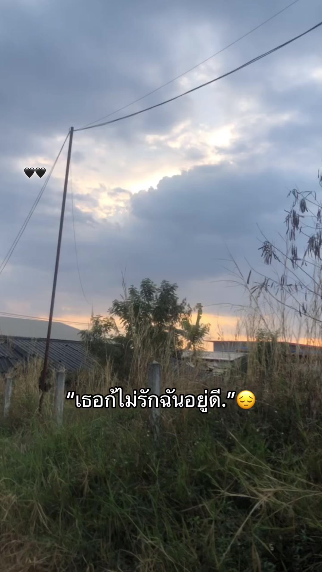 @เธรดของคนเอ๋อ🤍🤟🏻