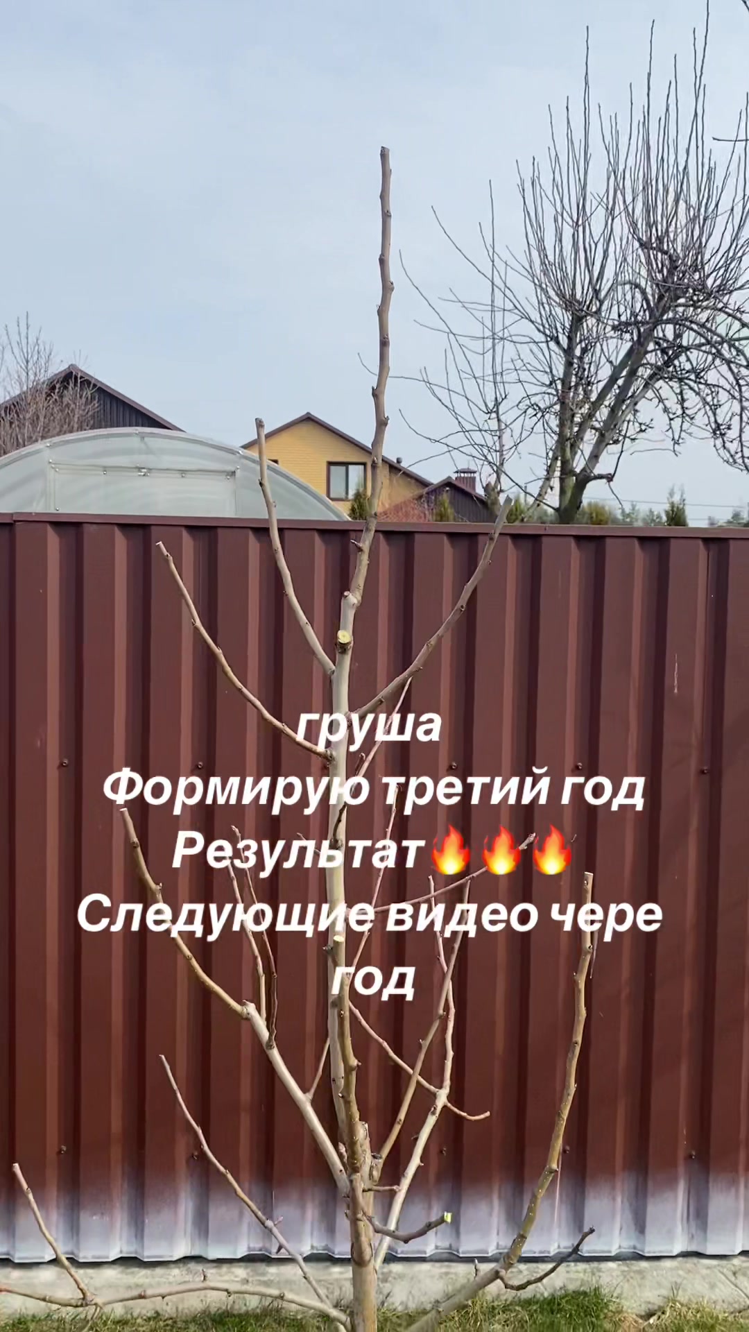 @сад🍏🍒🍇