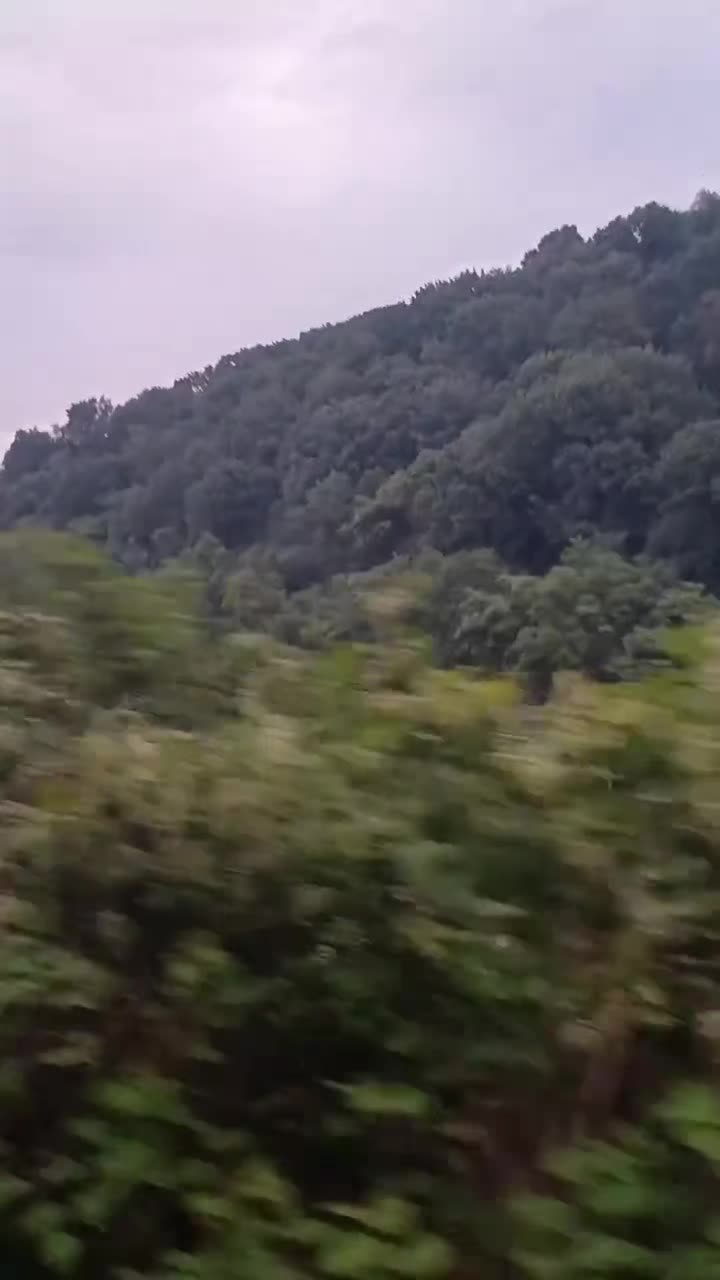 @MAXIMILIANO