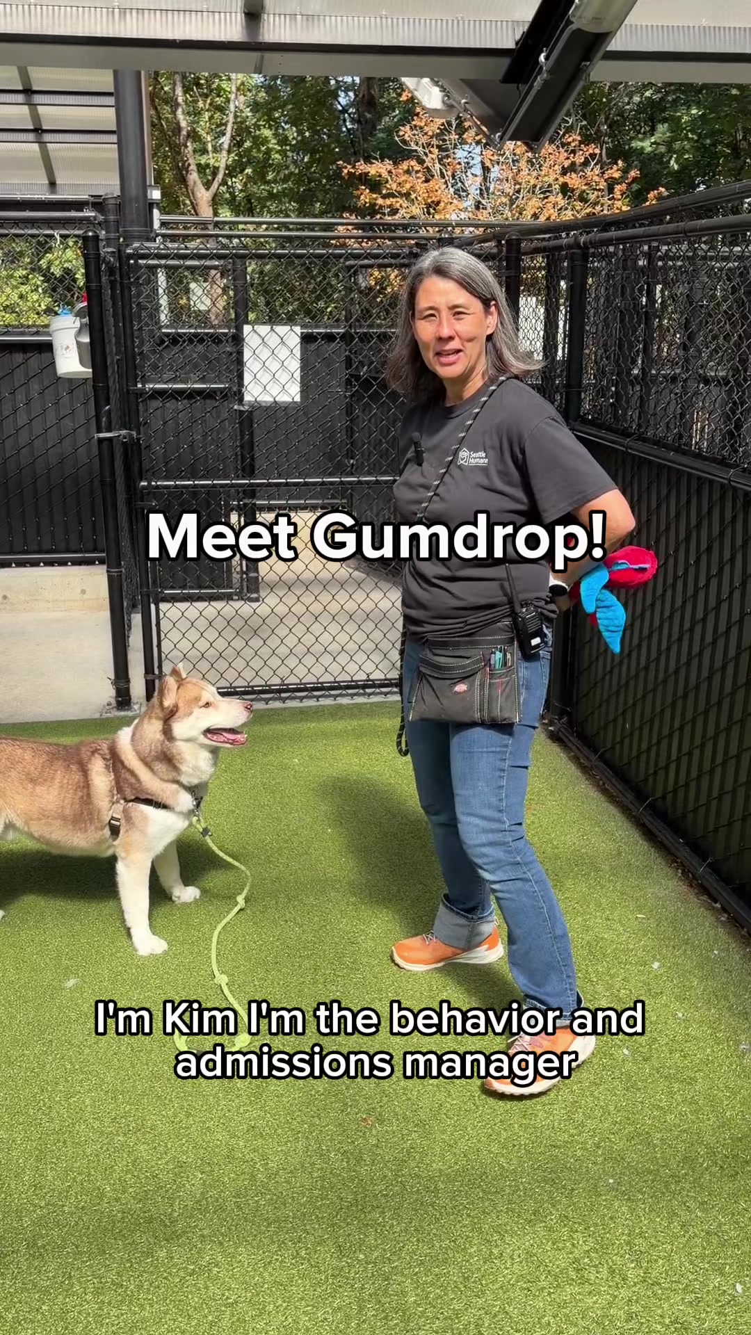 @Seattle Humane