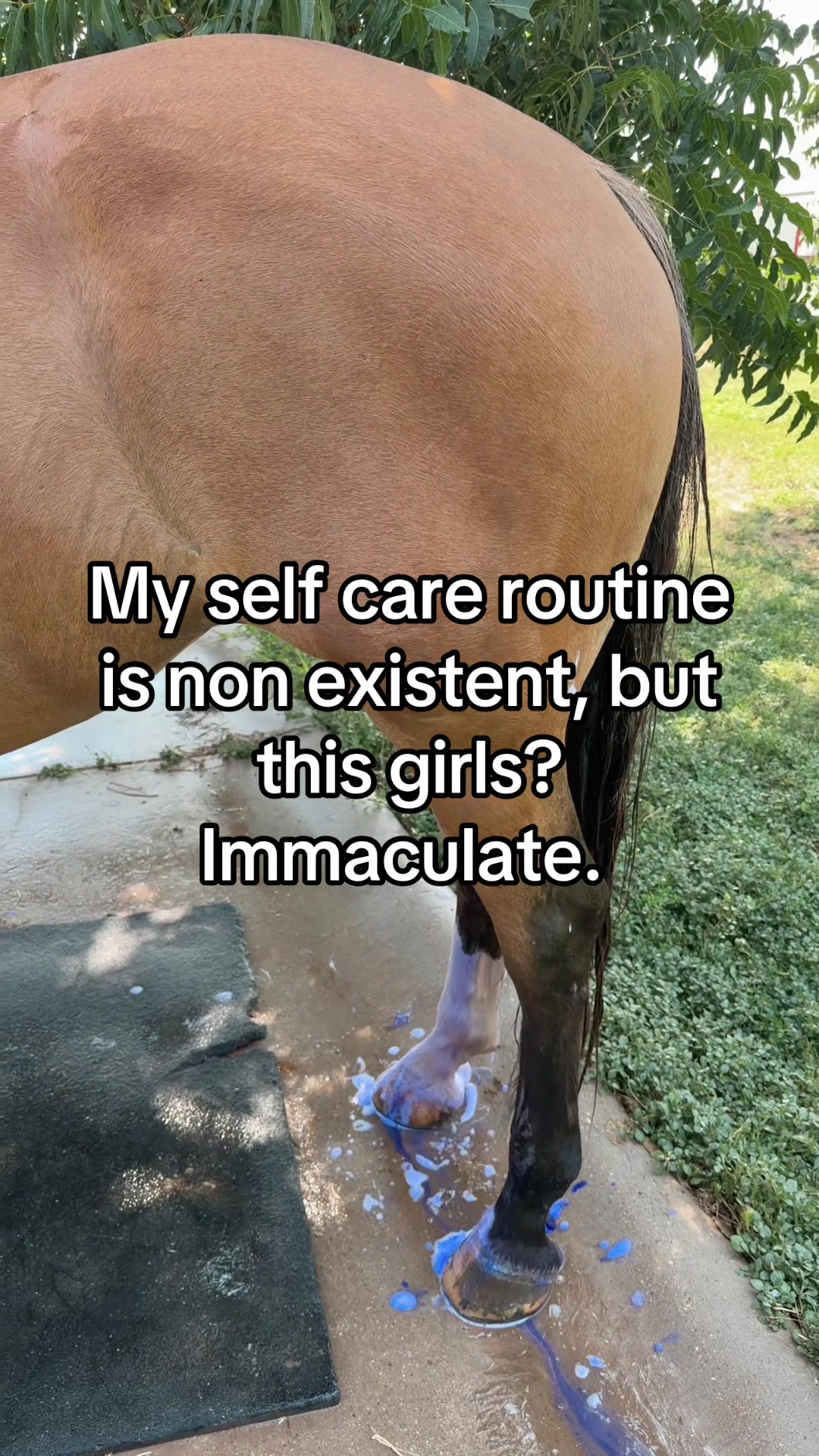 @Bre.SoForRealRightNow