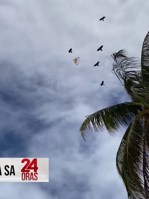 @24 Oras