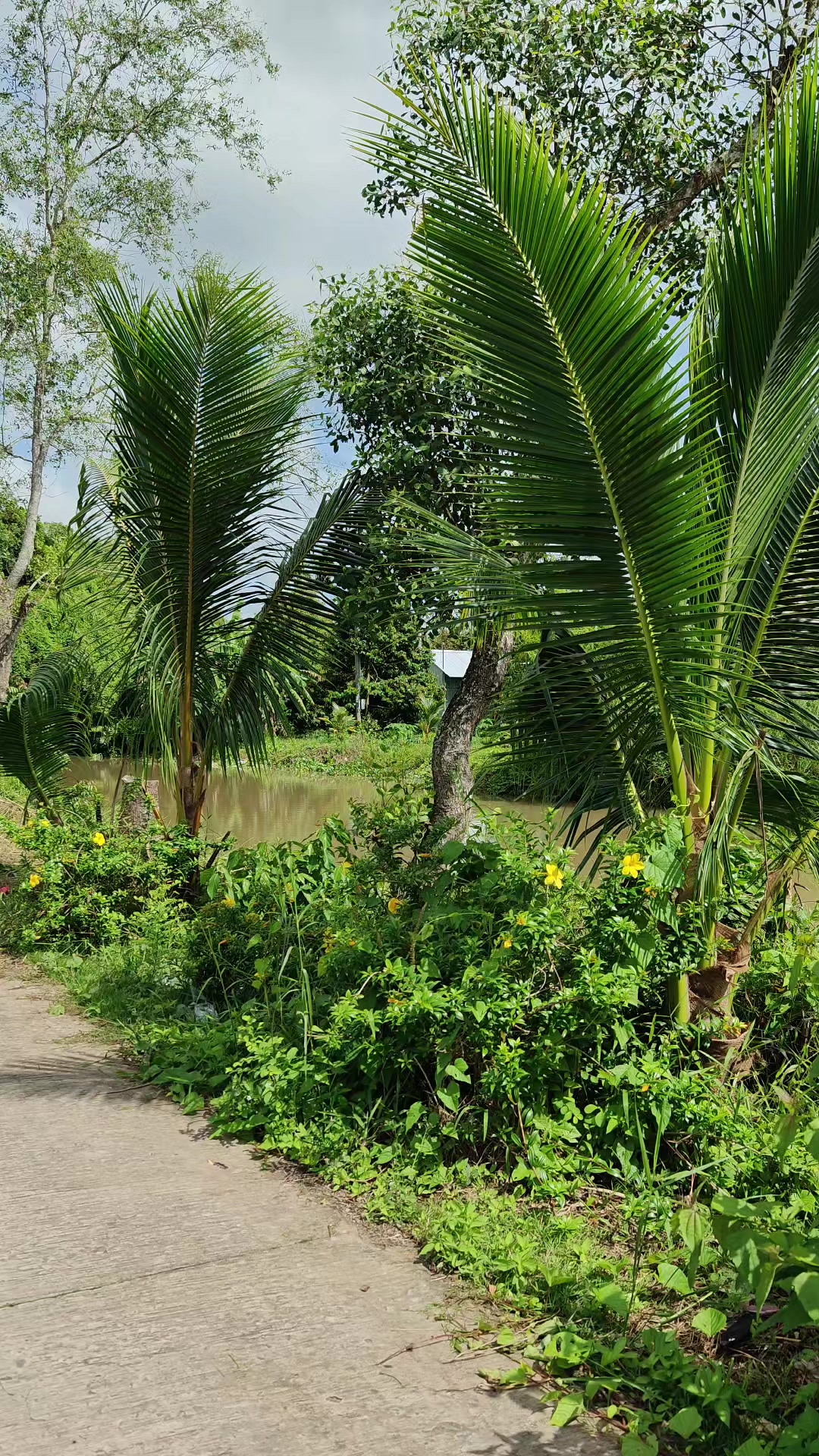 @Bất Động Sản Cần Thơ