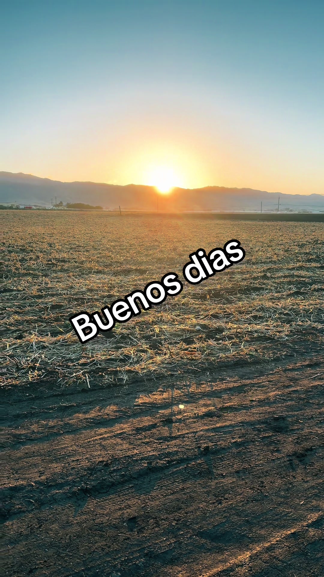 @Prado