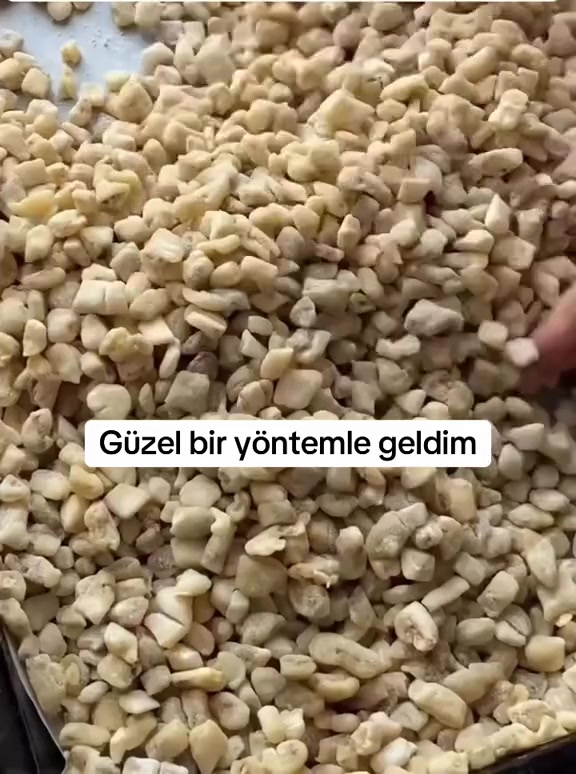 @Ebru Özalp