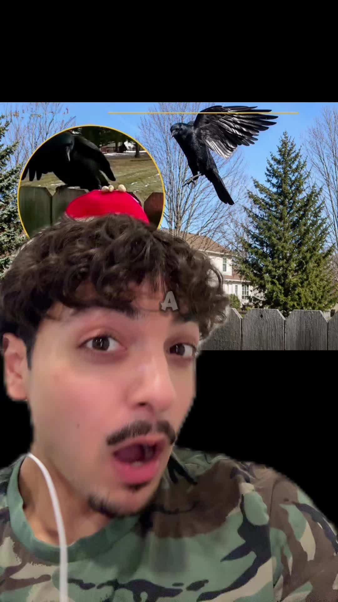 @Sbladn