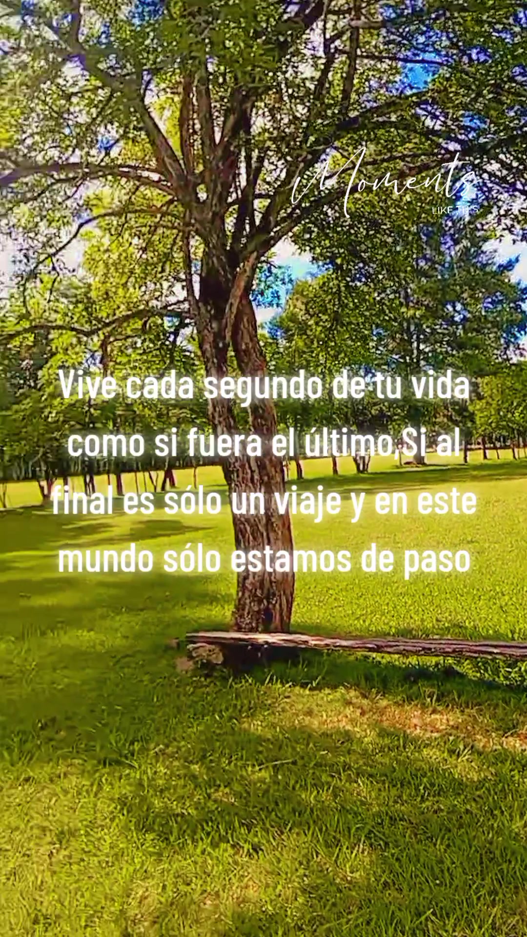 @Chinita 💘