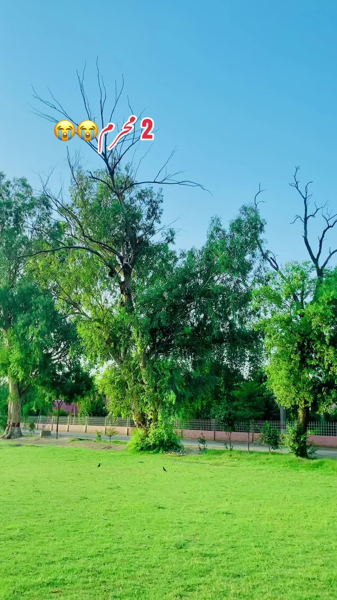 @وسیم شیرازی 🥂