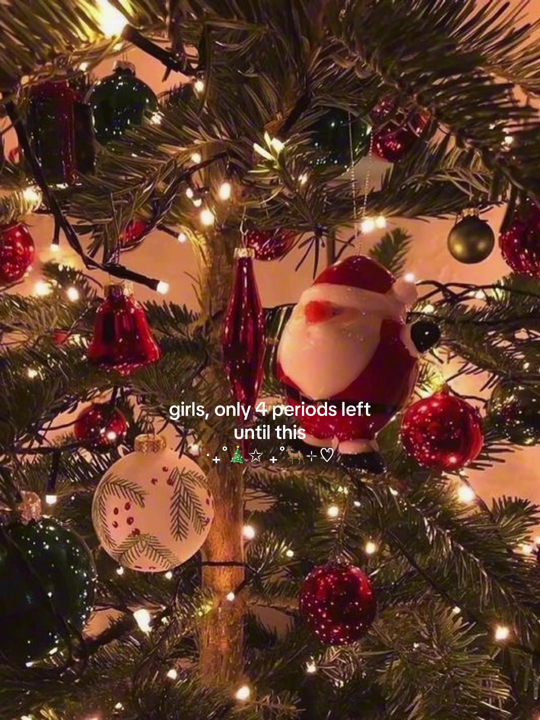@𝒮❄︎