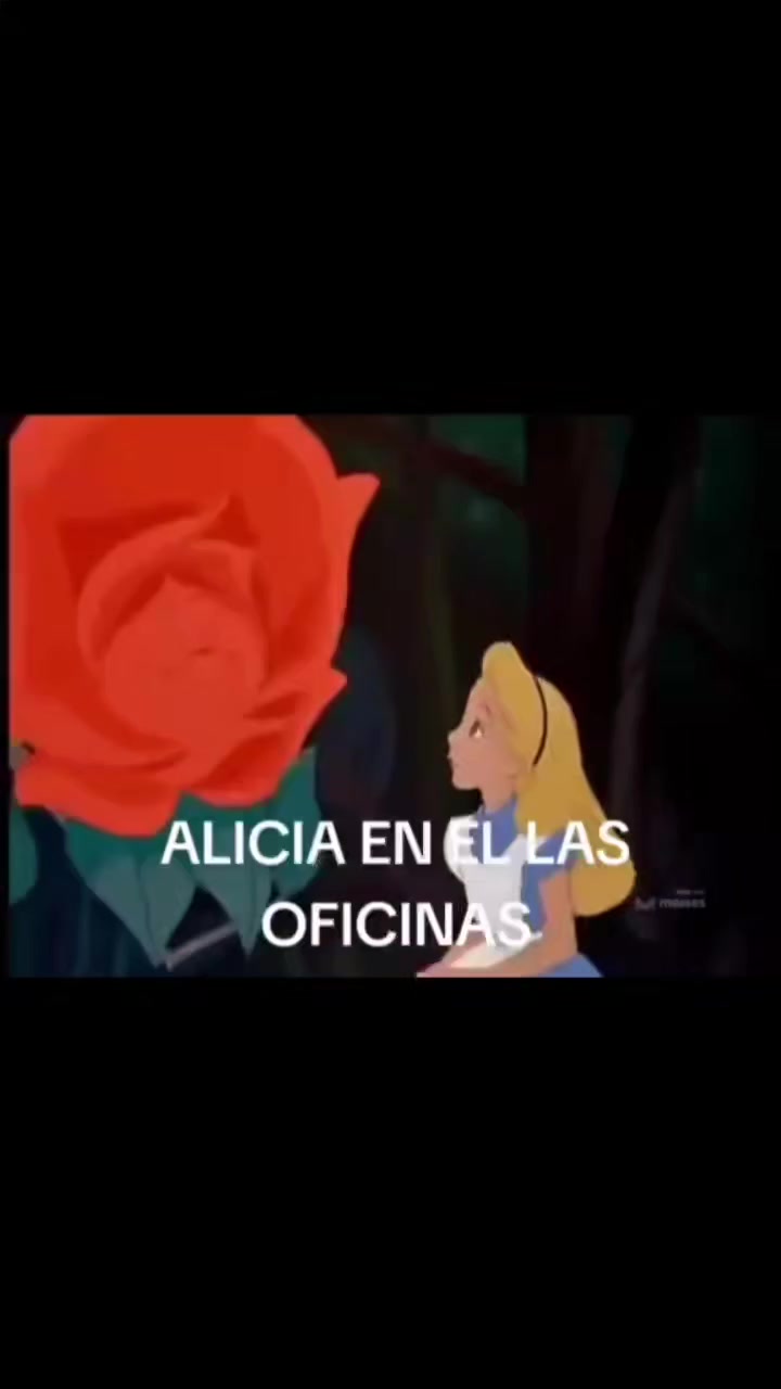 @Zoni