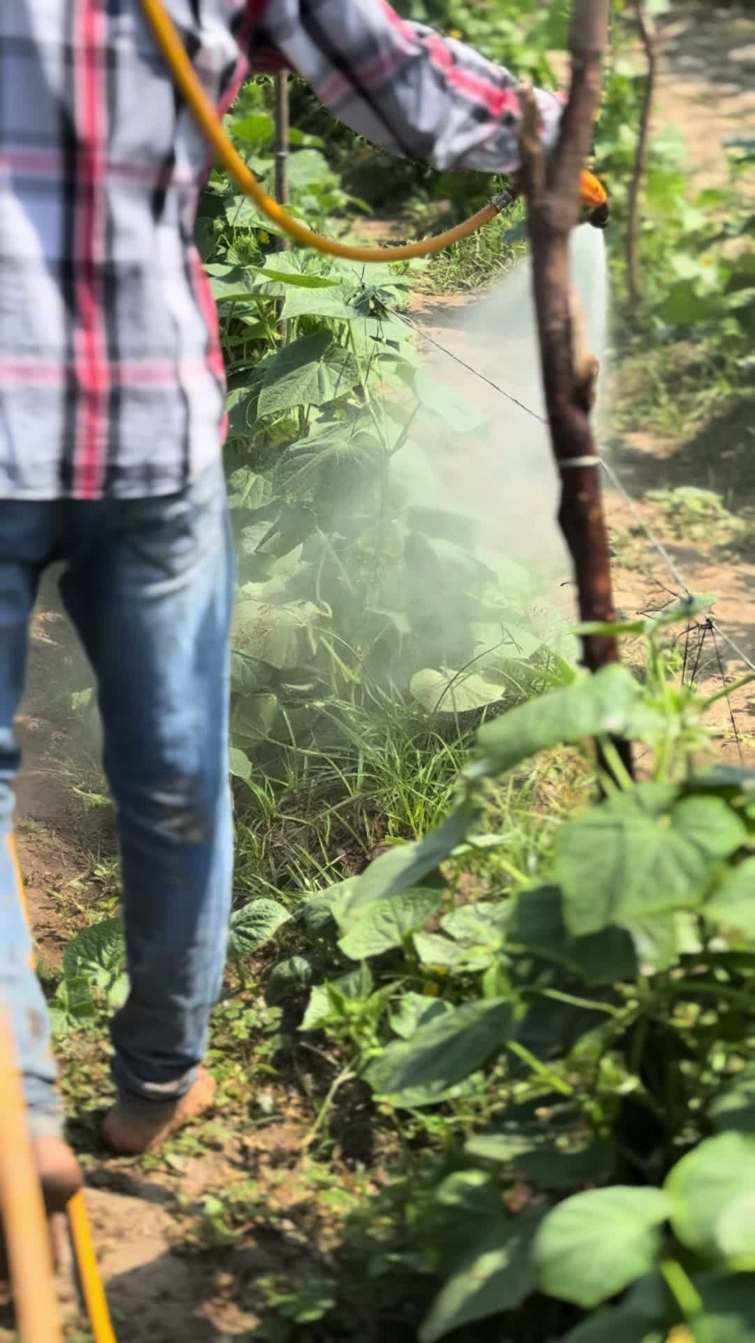 @soyagricultor