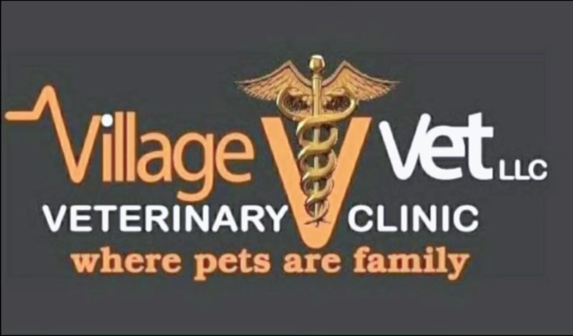 @VillagevVet LLC