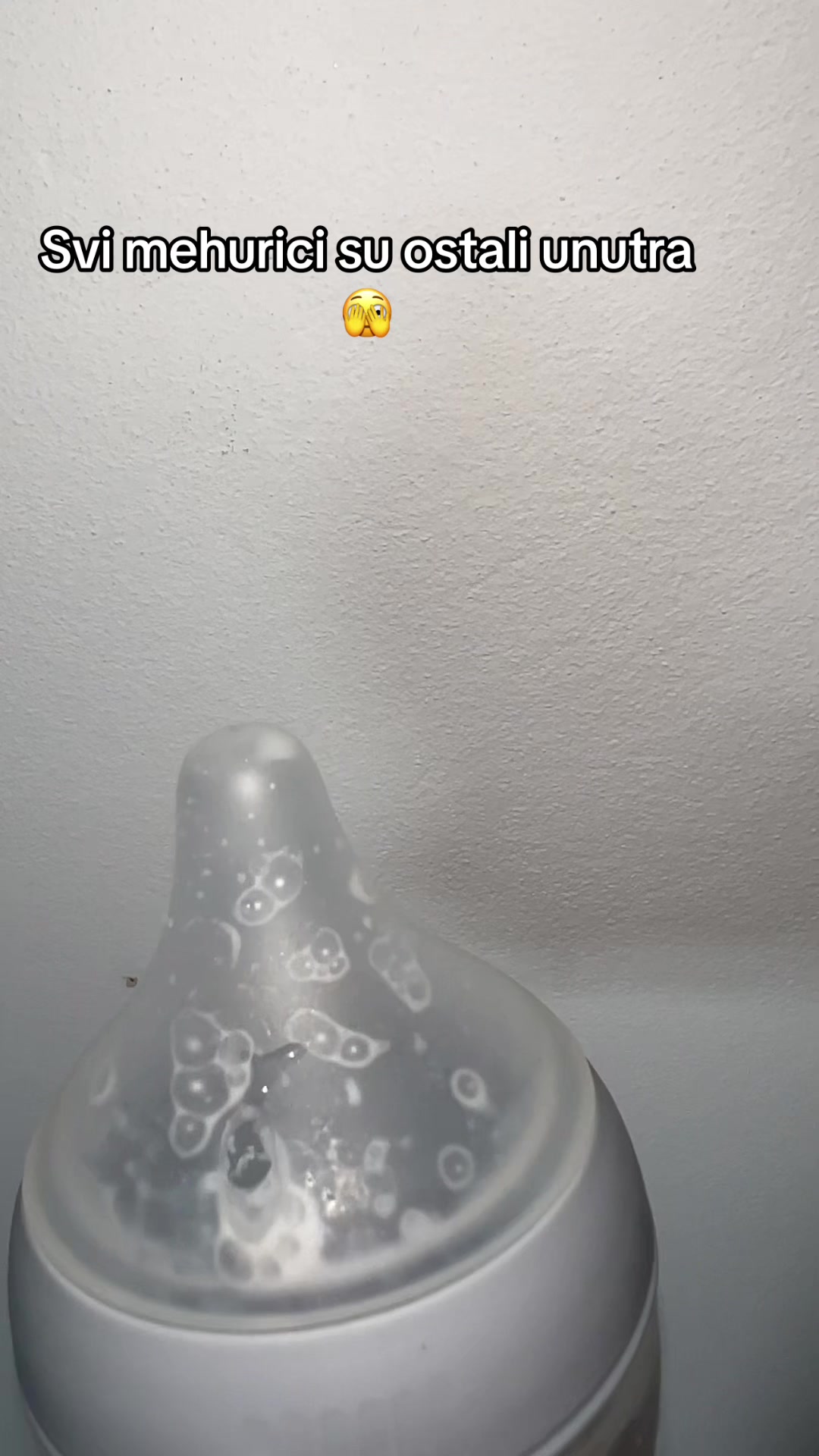 @Mladena 🦛