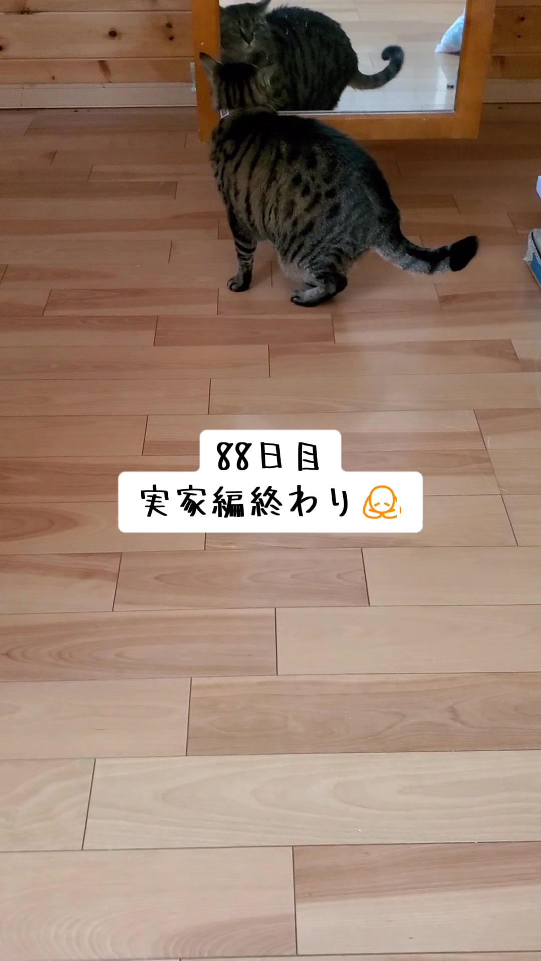 @😻kazuki😻