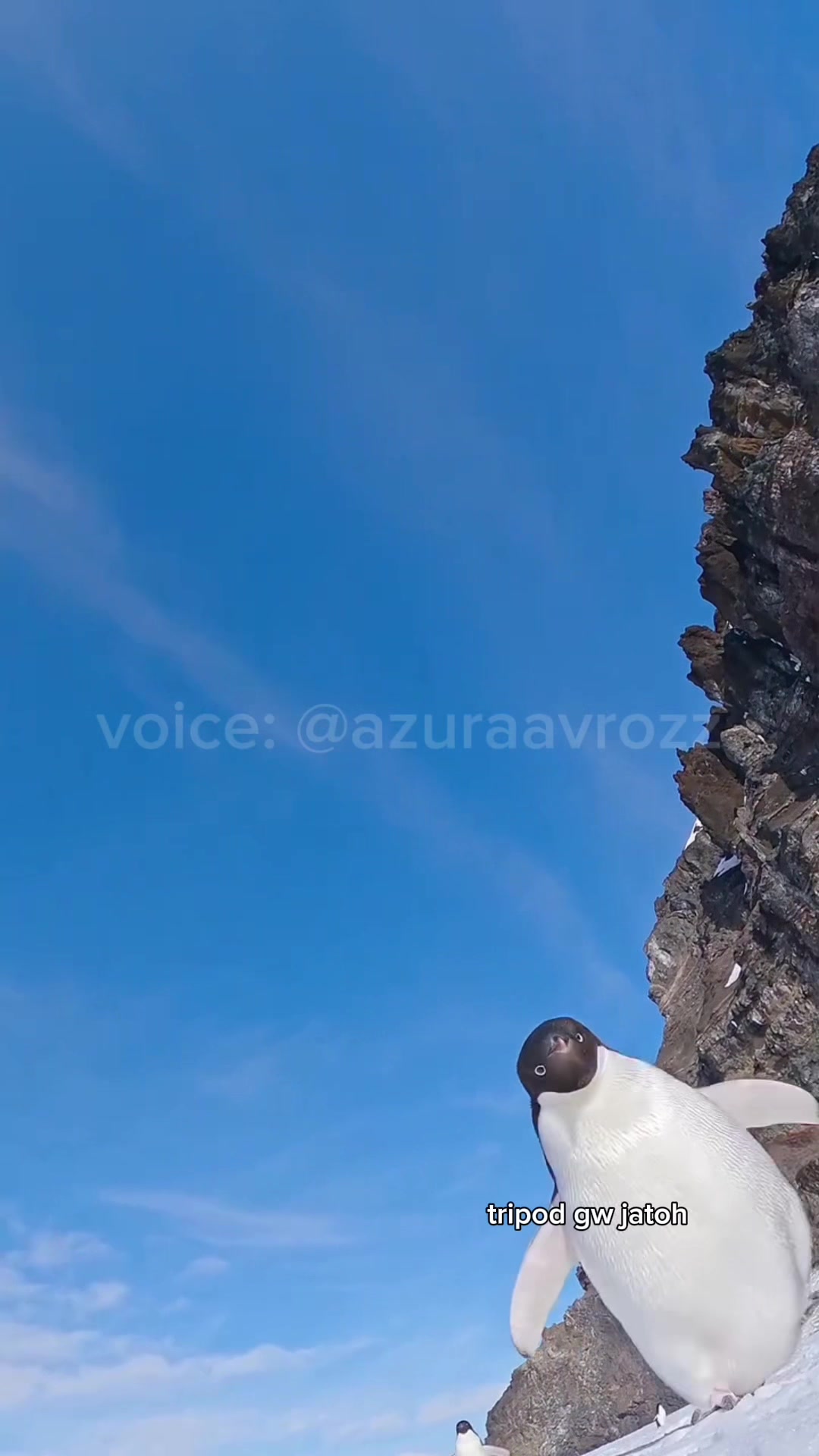 @AzuraaVrozz 侍