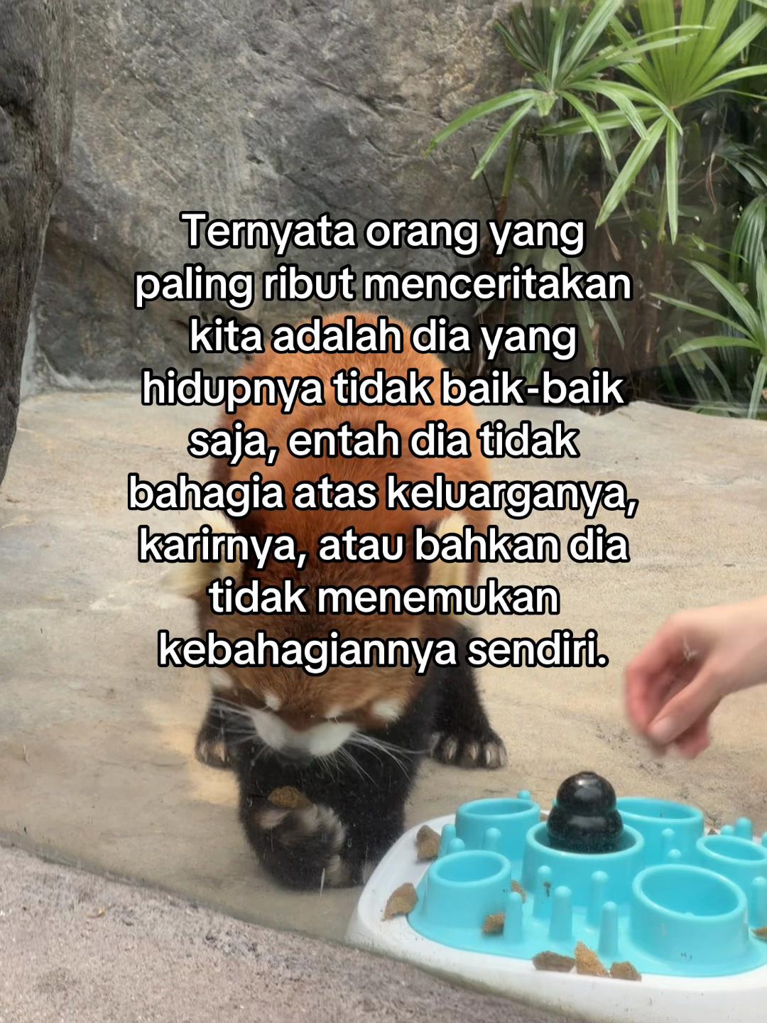 @DIAH
