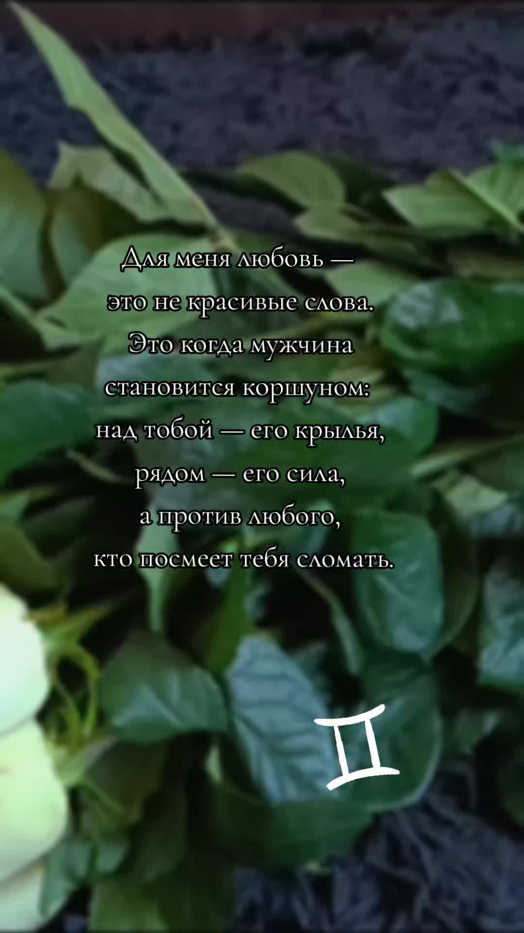 @ϯสᥣส♊